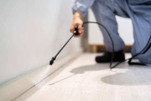 Licensed Wasp Removal service in Port Jervis, NY - Show Me Pest Control