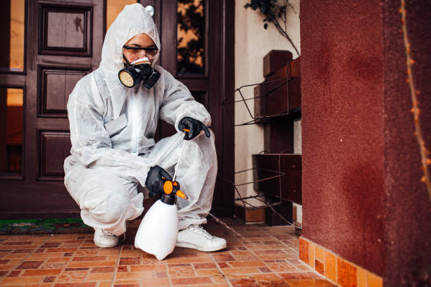 Reliable Wasp Removal contractor in Port Jervis, NY by Show Me Pest Control